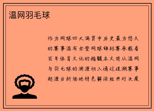 温网羽毛球