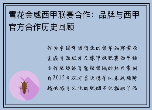 雪花金威西甲联赛合作：品牌与西甲官方合作历史回顾