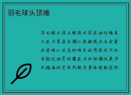 羽毛球头顶难